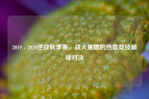 2019 - 2020逆战秋季赛，战火重燃的热血竞技巅峰对决