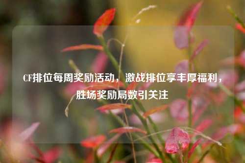 CF排位每周奖励活动，激战排位享丰厚福利，胜场奖励局数引关注