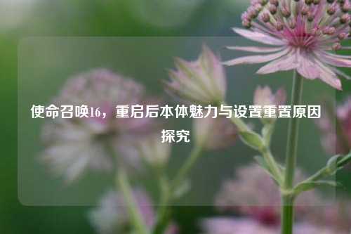 使命召唤16，重启后本体魅力与设置重置原因探究