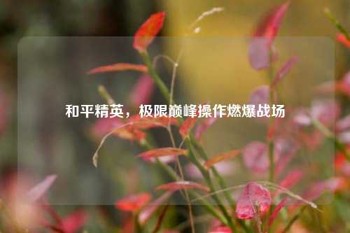 和平精英，极限巅峰操作燃爆战场