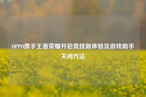 OPPO携手王者荣耀开启竞技新体验及游戏助手关闭方法