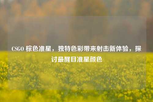 CSGO 棕色准星，独特色彩带来射击新体验，探讨最醒目准星颜色