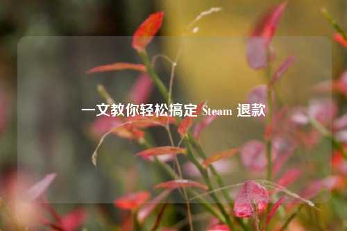 一文教你轻松搞定 Steam 退款
