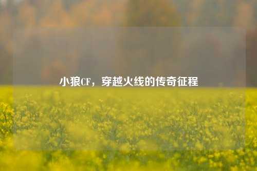 小狼CF，穿越火线的传奇征程