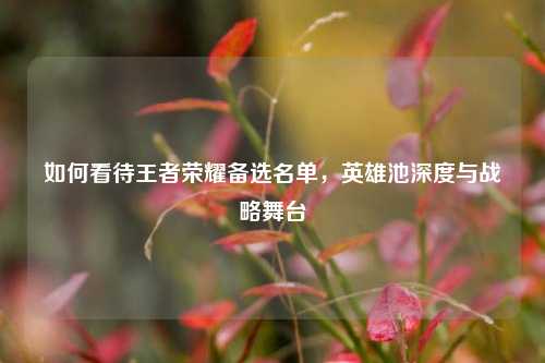 如何看待王者荣耀备选名单，英雄池深度与战略舞台