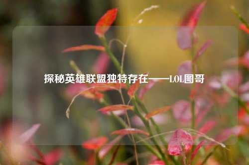 探秘英雄联盟独特存在——LOL图哥