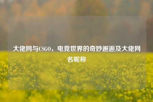 大佬网与CSGO，电竞世界的奇妙邂逅及大佬网名昵称