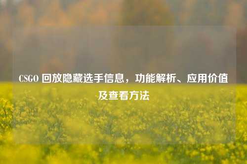 CSGO 回放隐藏选手信息,功能解析、应用价值及查看方法