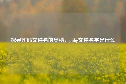 探寻PUBG文件名的奥秘，pubg文件名字是什么