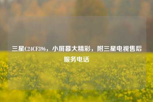 三星C24CF396，小屏幕大精彩，附三星电视售后服务电话