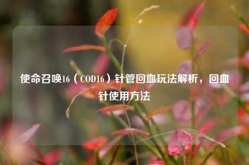 使命召唤16（COD16）针管回血玩法解析，回血针使用方法