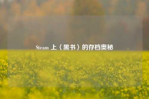 Steam 上〈黑书〉的存档奥秘