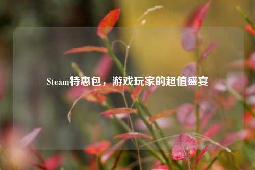 Steam特惠包，游戏玩家的超值盛宴