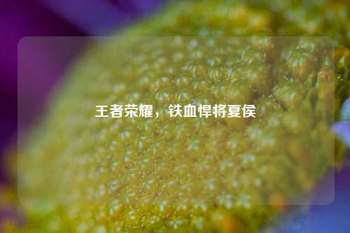 王者荣耀，铁血悍将夏侯惇