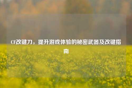 CF改键刀，提升游戏体验的秘密武器及改键指南