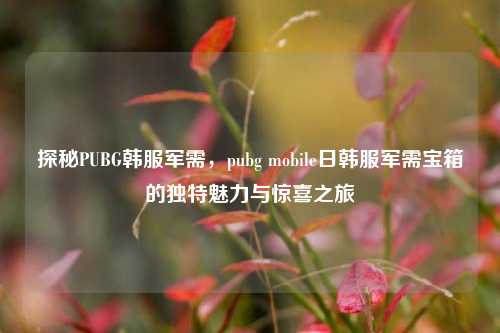 探秘PUBG韩服军需，pubg mobile日韩服军需宝箱的独特魅力与惊喜之旅