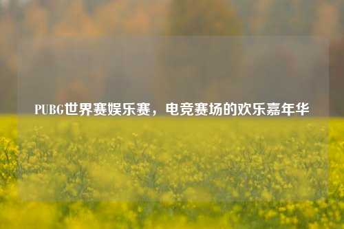 PUBG世界赛娱乐赛，电竞赛场的欢乐嘉年华