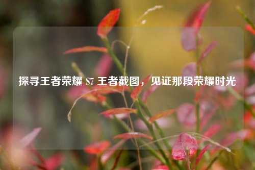 探寻王者荣耀 S7 王者截图，见证那段荣耀时光