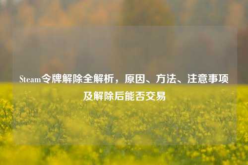 Steam令牌解除全解析，原因、方法、注意事项及解除后能否交易