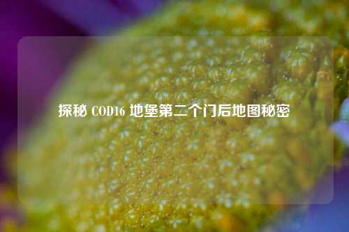 探秘 COD16 地堡第二个门后地图秘密