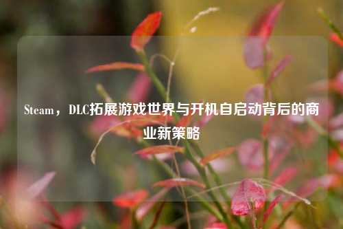 Steam，DLC拓展游戏世界与开机自启动背后的商业新策略