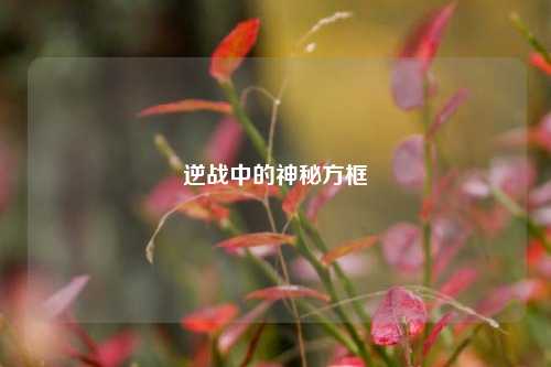 逆战中的神秘方框