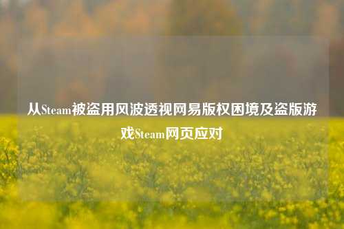从Steam被盗用风波透视网易版权困境及盗版游戏Steam网页应对