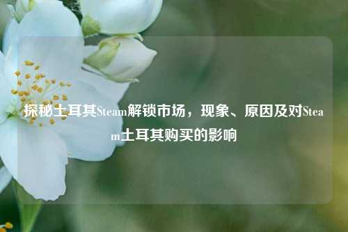 探秘土耳其Steam解锁市场，现象、原因及对Steam土耳其购买的影响