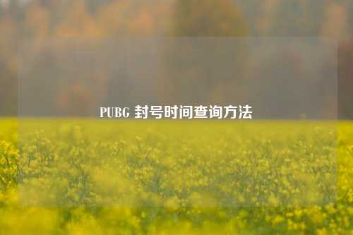PUBG 封号时间查询方法