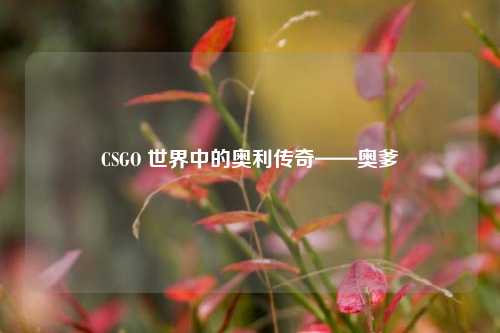 CSGO 世界中的奥利传奇——奥爹