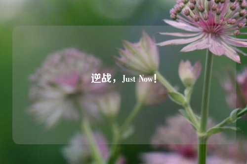 逆战，Just Now！