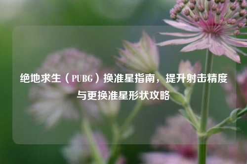 绝地求生（PUBG）换准星指南，提升射击精度与更换准星形状攻略