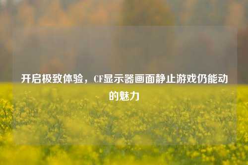 开启极致体验，CF显示器画面静止游戏仍能动的魅力