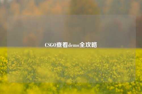 CSGO查看demo全攻略