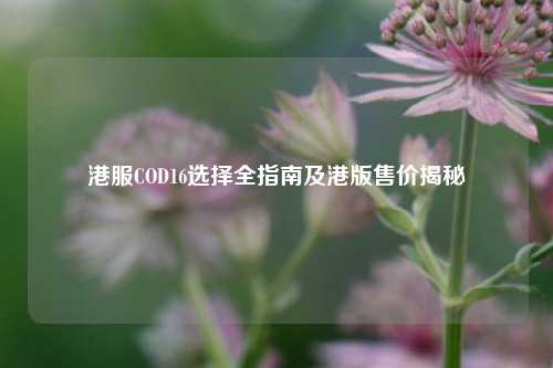 港服COD16选择全指南及港版售价揭秘