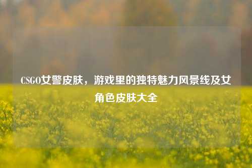 CSGO女警皮肤，游戏里的独特魅力风景线及女角色皮肤大全