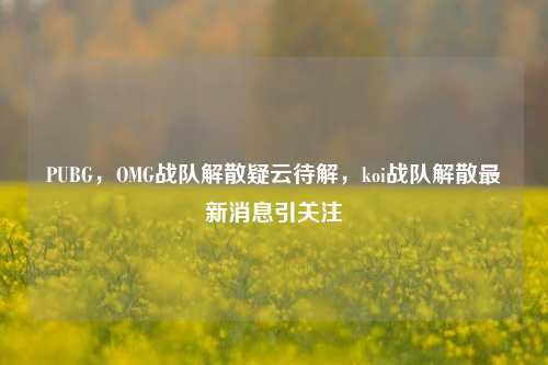 PUBG，OMG战队解散疑云待解，koi战队解散最新消息引关注