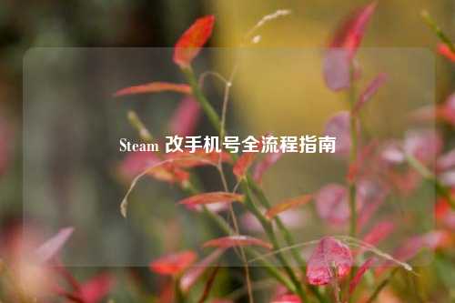 Steam 改手机号全流程指南