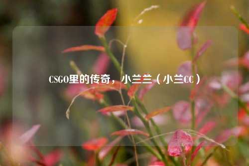 CSGO里的传奇，小兰兰（小兰CC）