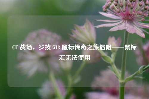 CF 战场,罗技 518 鼠标传奇之旅遇阻——鼠标宏无法使用