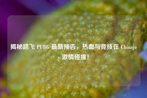 揭秘路飞 PUBG 最新预告，热血与竞技在 Chinajoy 激情碰撞！