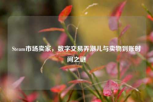 Steam市场卖家，数字交易弄潮儿与卖物到账时间之谜