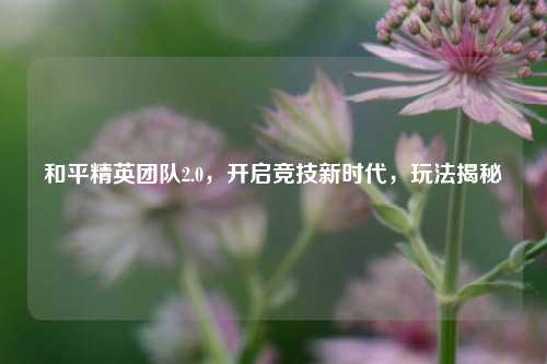 和平精英团队2.0，开启竞技新时代，玩法揭秘