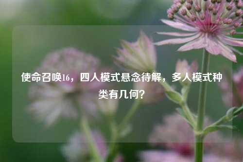 使命召唤16，四人模式悬念待解，多人模式种类有几何？
