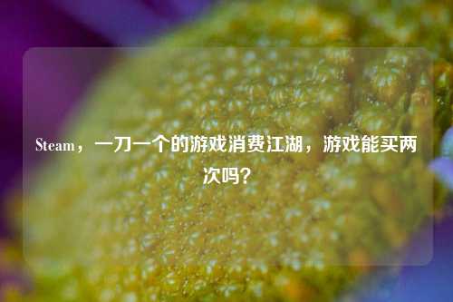 Steam，一刀一个的游戏消费江湖，游戏能买两次吗？