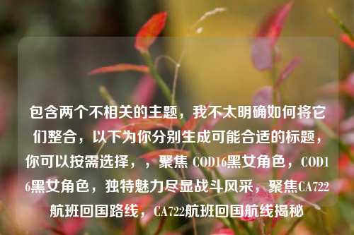 包含两个不相关的主题，我不太明确如何将它们整合，以下为你分别生成可能合适的标题，你可以按需选择，，聚焦 COD16黑女角色，COD16黑女角色，独特魅力尽显战斗风采，聚焦CA722航班回国路线，CA722航班回国航线揭秘