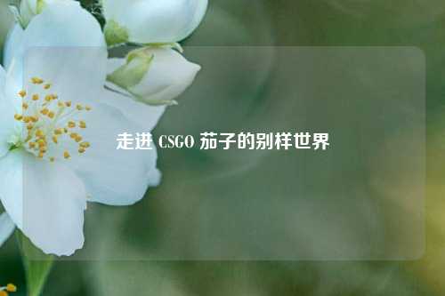 走进 CSGO 茄子的别样世界