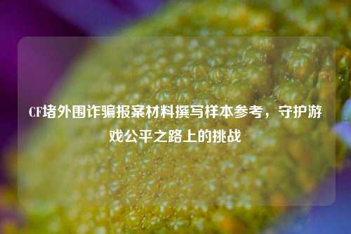 CF堵外围诈骗报案材料撰写样本参考，守护游戏公平之路上的挑战