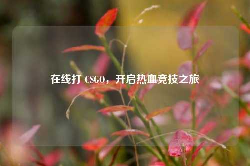 在线打 CSGO，开启热血竞技之旅