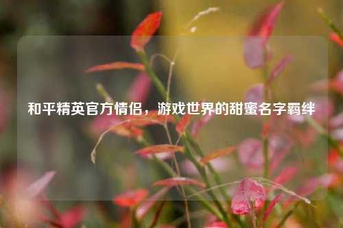 和平精英官方情侣，游戏世界的甜蜜名字羁绊